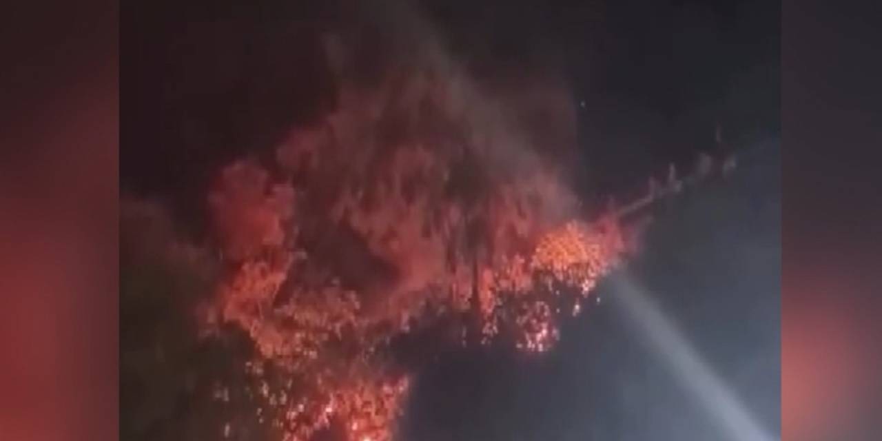 Orman yangınına karışanlara ağaç dikme cezası verildi