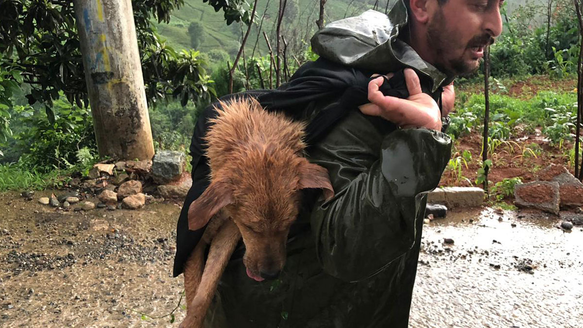 Yaralı köpeği sırtında taşıdı
