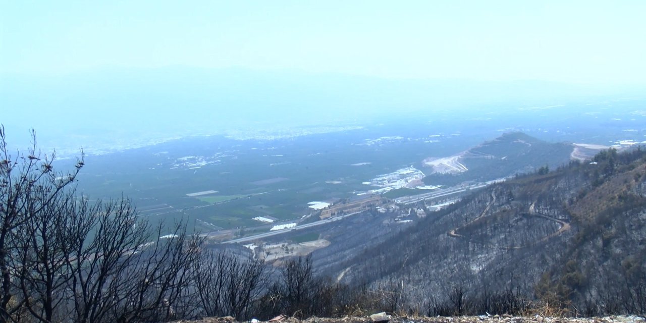 Orman yangınları sonrası ölüm riski arttı