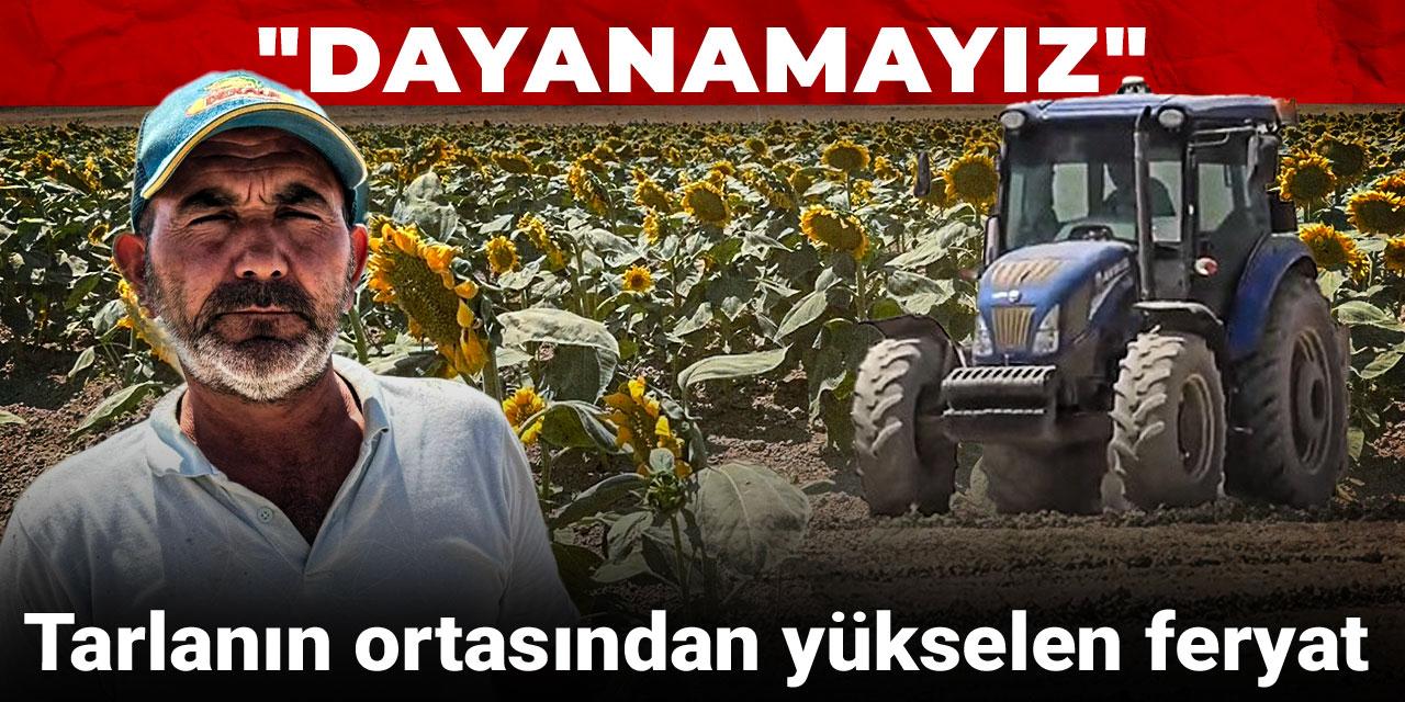Tarlanın ortasından yükselen feryat: Dayanamayız