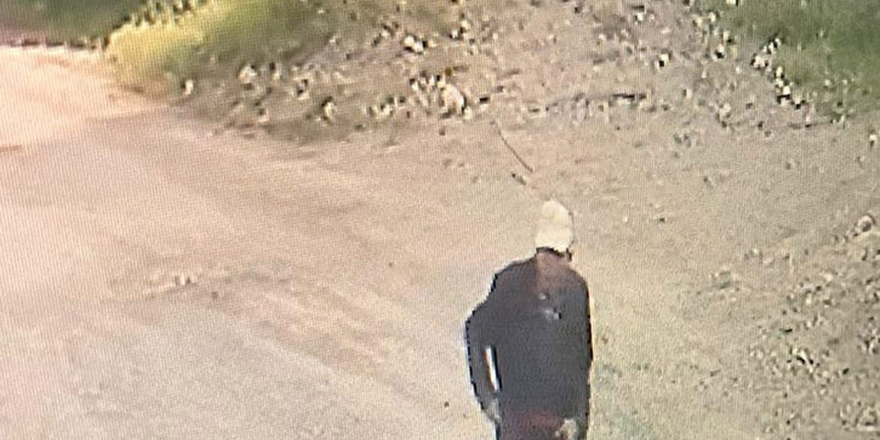 Mevlide diye çıktı 56 gündür haber alınamıyor