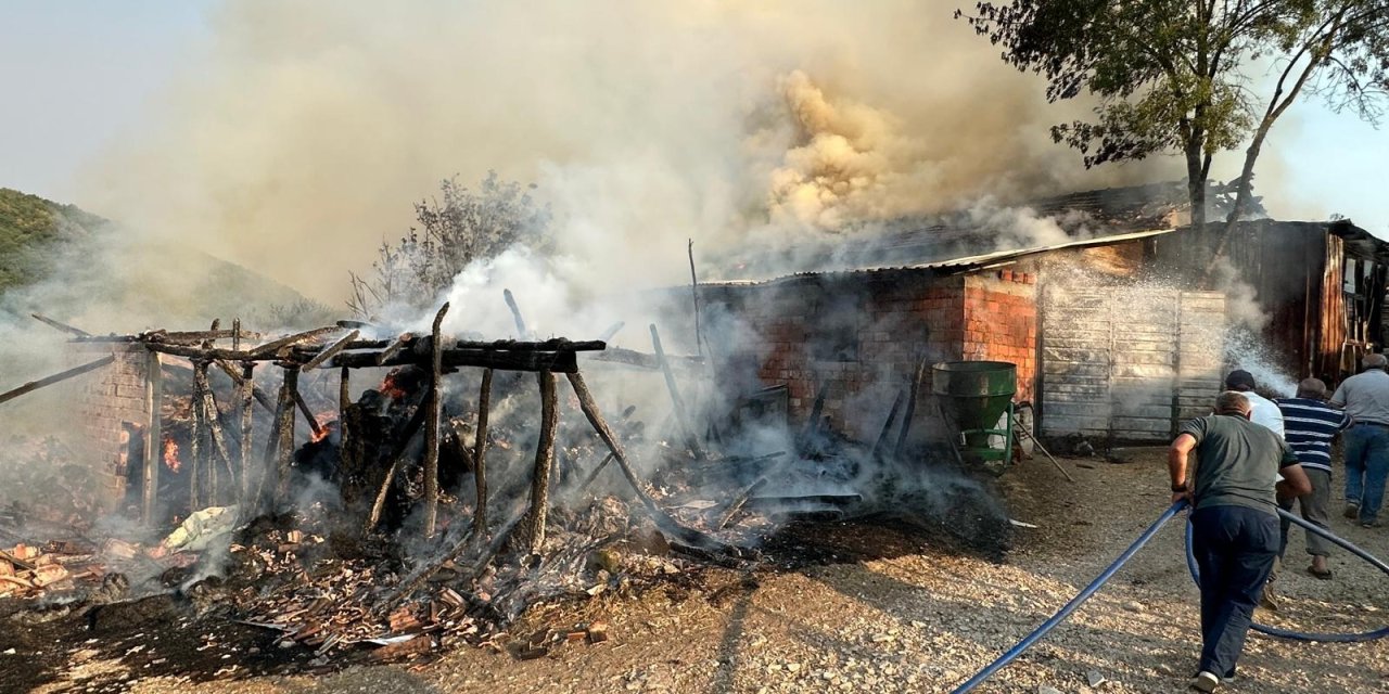 400 bin lira değerindeki saman ve yem balyası küle döndü