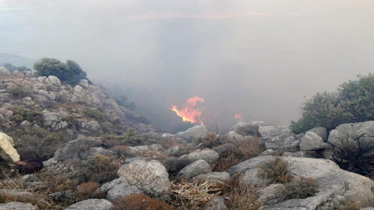 Datça'daki orman yangının sebebi belli oldu