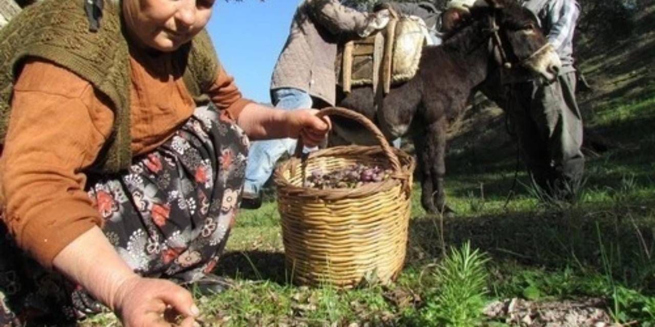 Boş yere gübrelemiyor: Tıkanıklığı da gösteriyor