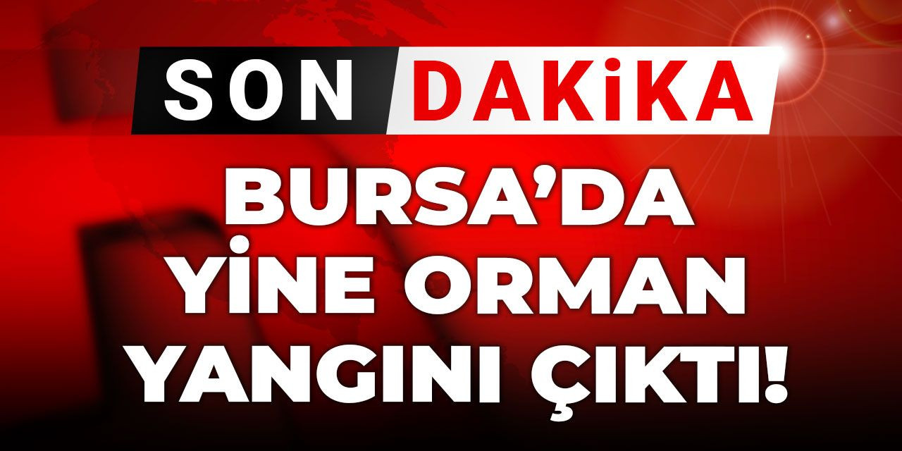 Son dakika | Bursa'da yine orman yangını çıktı