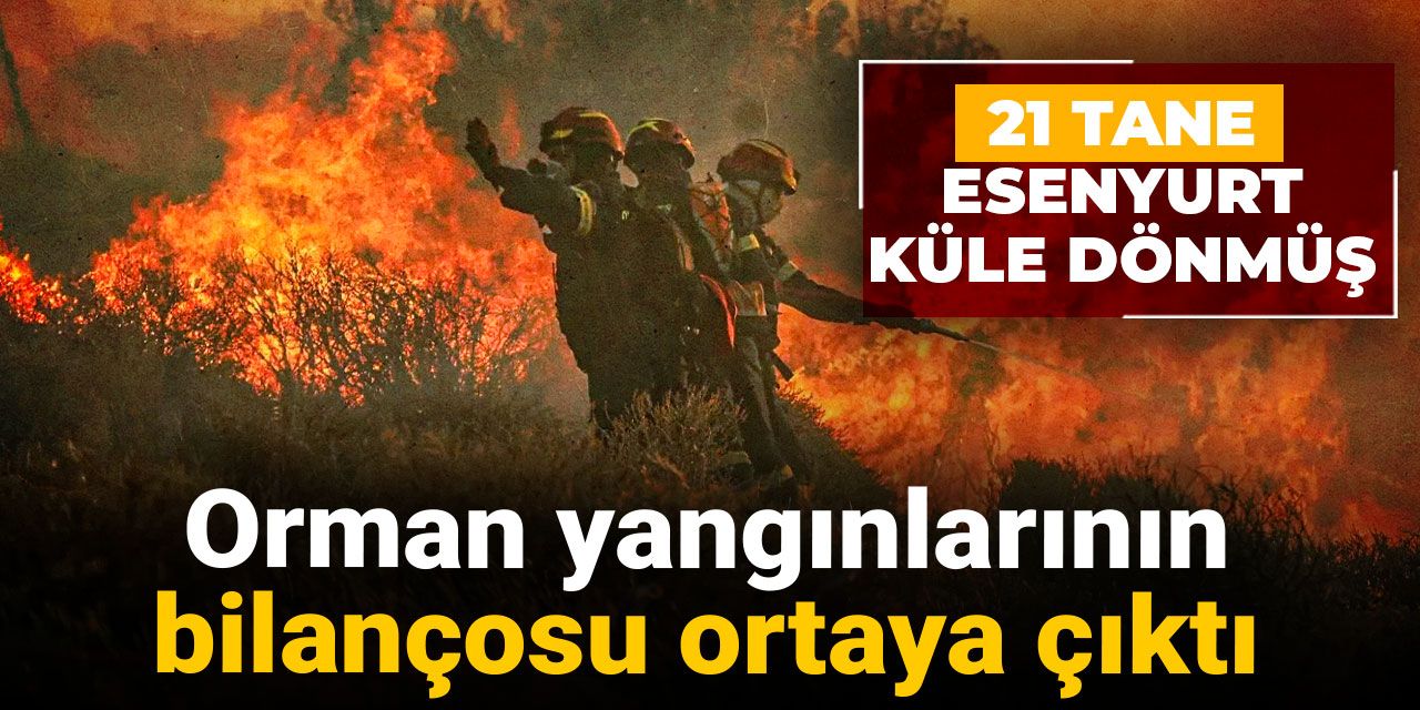Orman yangınlarının bilançosu ortaya çıktı: 21 tane Esenyurt küle dönmüş