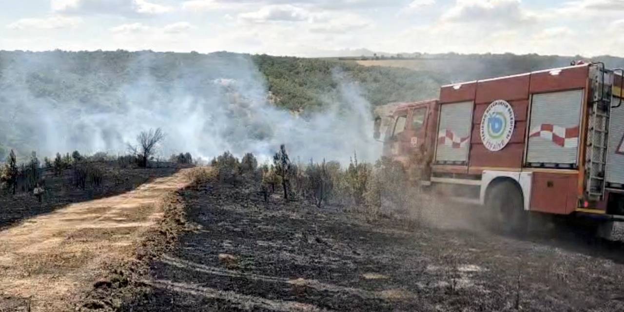 Tekirdağ’da çıkan yangın ormana sıçradı! 1 saatte kontrol altına alındı
