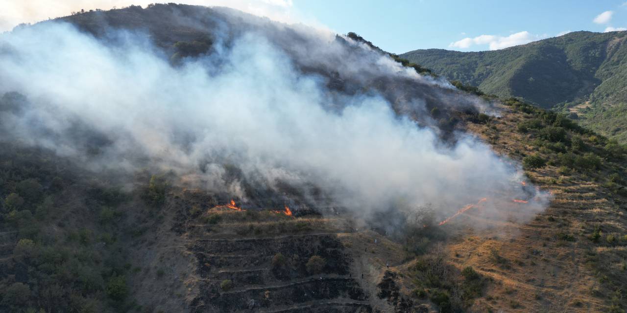 Tekirdağ Şarköy'de orman yangını!