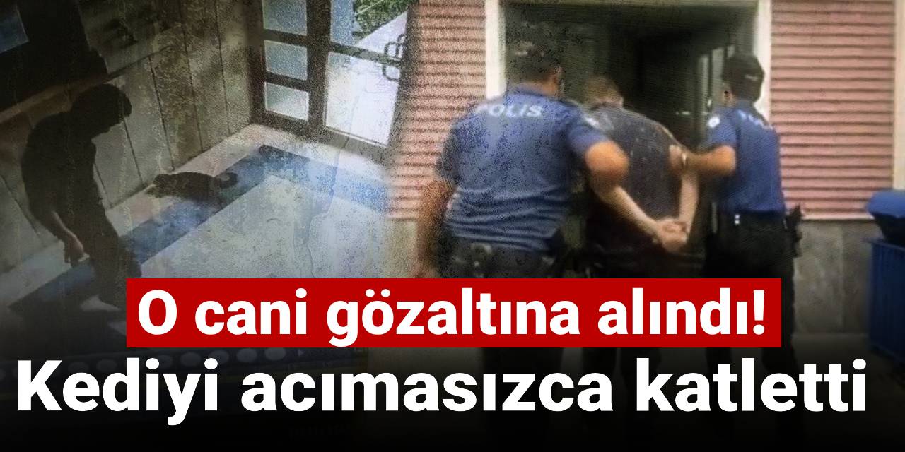 Kediyi acımasızca katletti! O cani gözaltına alındı