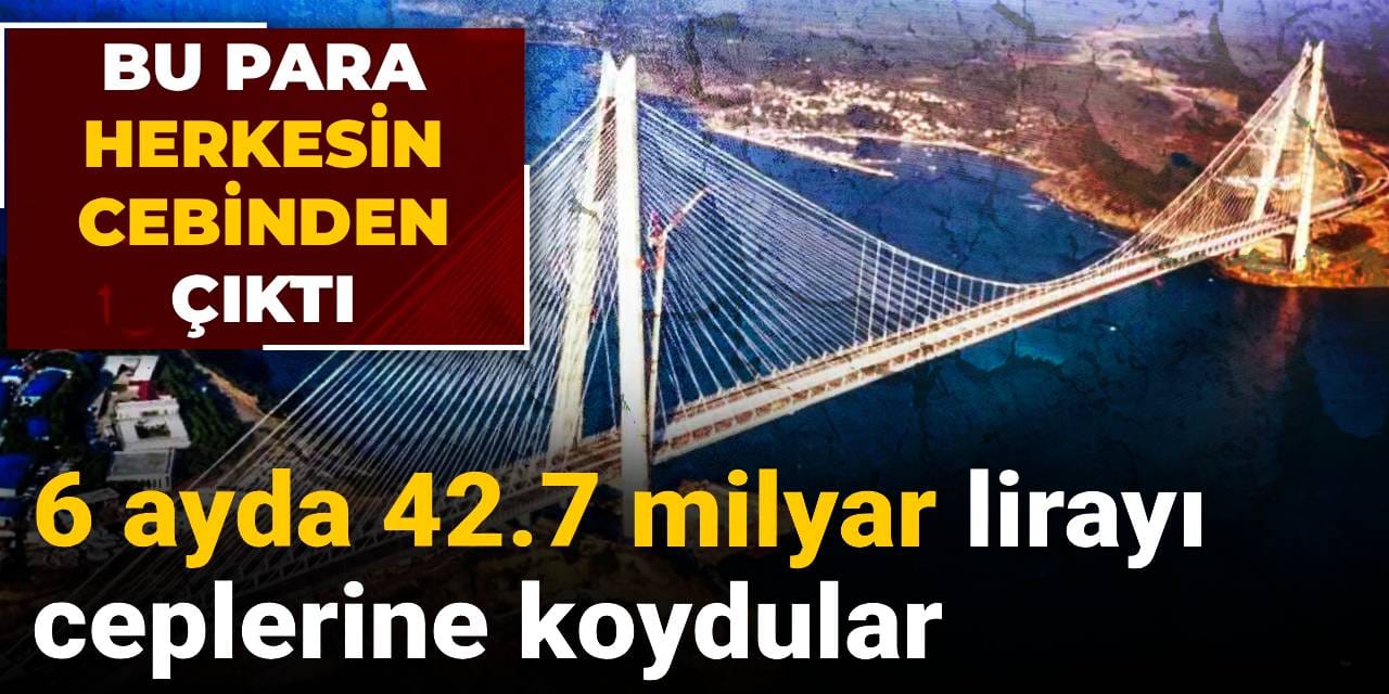 6 ayda 42.7 milyar lirayı ceplerine koydular: Bu para herkesin cebinden çıktı