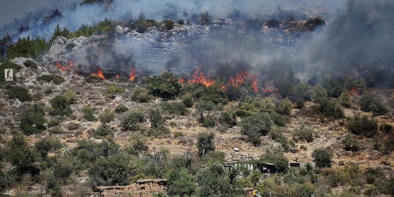 Mersin’de orman yakan 2 kişi tutuklandı
