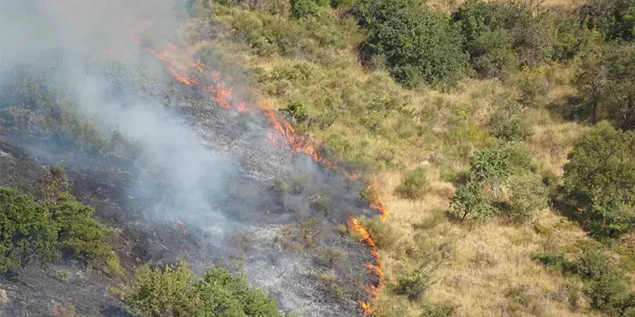 Tekirdağ'daki orman yangını kontrol altına alındı