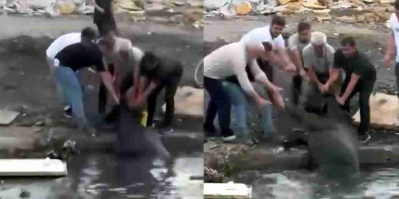 Avcılar'da otluk alanda yangın: İneğini kurtarmak için suya soktu!