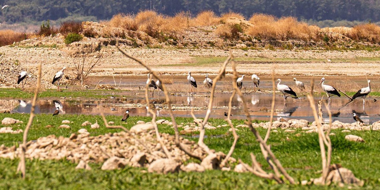 İzmir için acil çağrı yapıldı