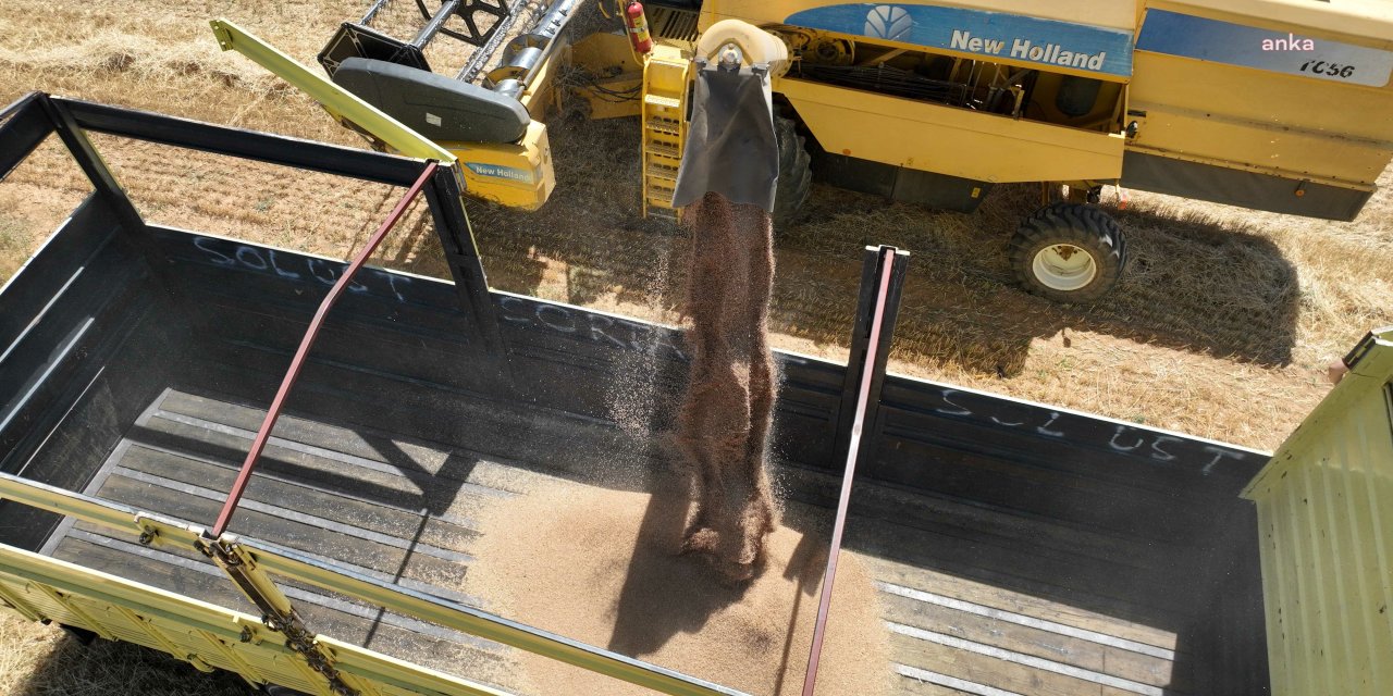Antalya Büyükşehir Belediyesi Halk Ekmek için kendi buğdayını üretiyor