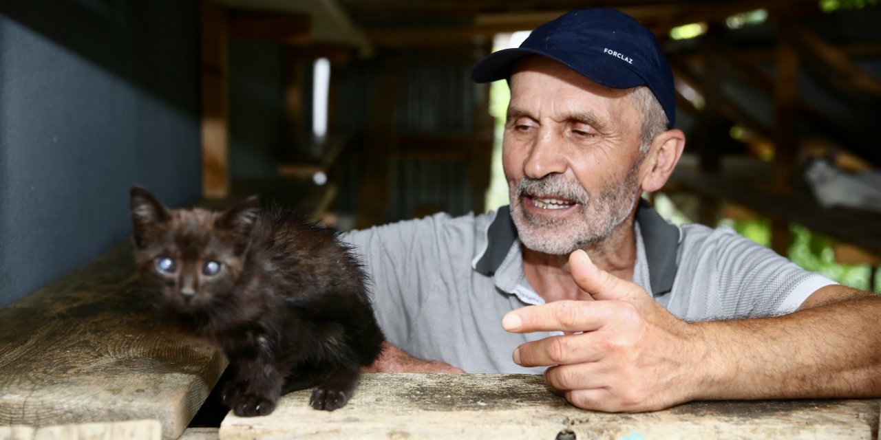 Sokaktaki kedilerin umudu: Temel ve Elmas Sezer çifti 25 cana hayat veriyor