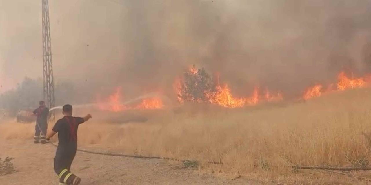 Şırnak'ta yangın çıktı