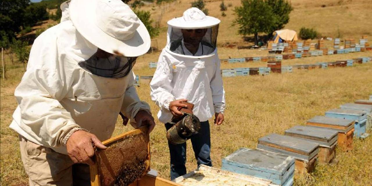 "Bingöl balı, Türkiye’nin sınırlarını aşan bir marka olacak"