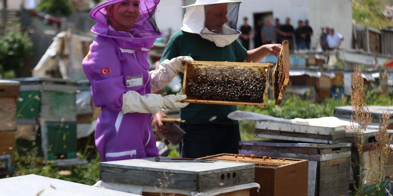 Dünyaca ünlü Rize balından numune alındı