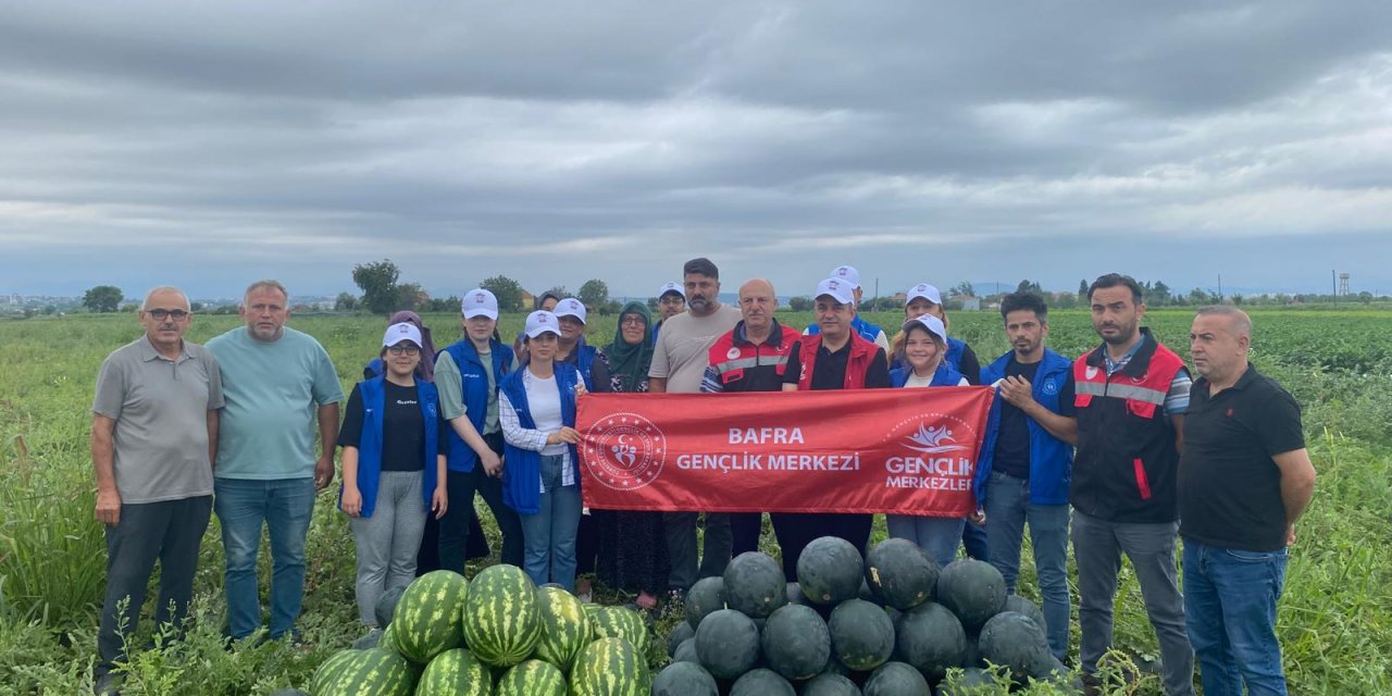 Gönüllü karpuz topladılar