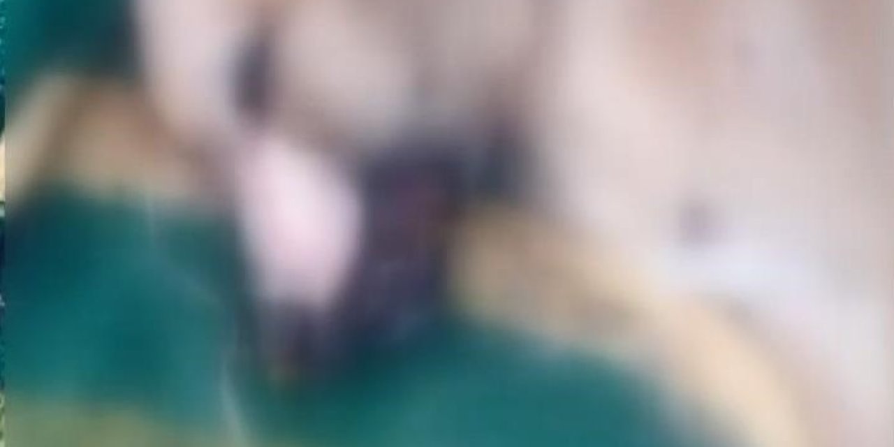 İstanbul’da köpek katliamı! İşkenceyle öldürdü