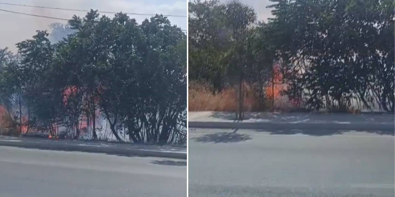 Silivri’de panik! Otluk alanda çıkan yangın büyümeden kontrol altına alındı