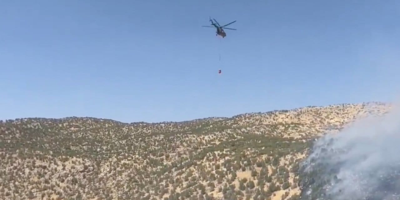 Şırnak'taki orman yangını kontrol altına alındı