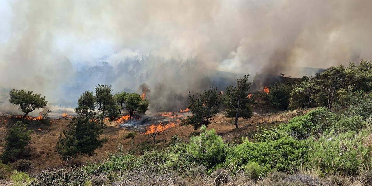 Çanakkale'de 21 saat süren yangının çıkış nedeni belli oldu