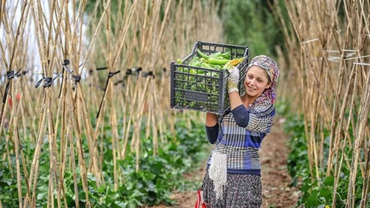 Devletten genç çiftçilere destek!