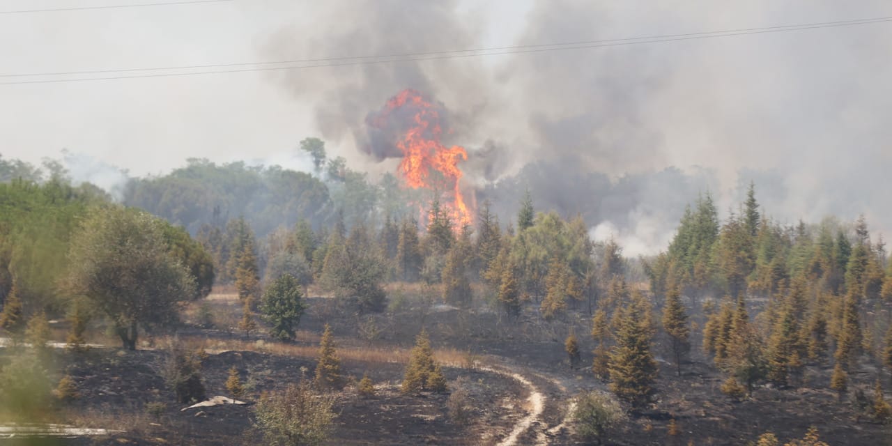 Kırklareli alev alev! Avrupa Otoyolu çift yönlü kapandı