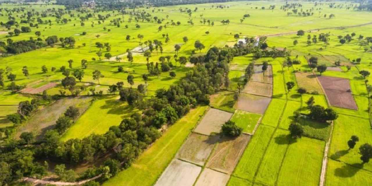 Bir dönem değeri yükselir diye alınıyordu: Bu arsaları alanlar büyük kayba uğradı