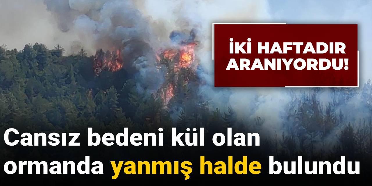 İki haftadır aranıyordu! Cansız bedeni kül olan ormanda yanmış halde bulundu