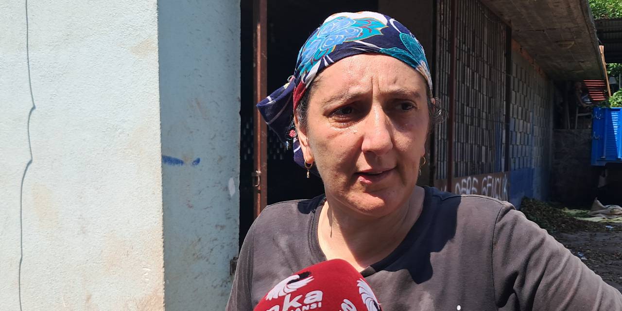 Çay üreticileri isyan etti! Bedavaya veriyoruz