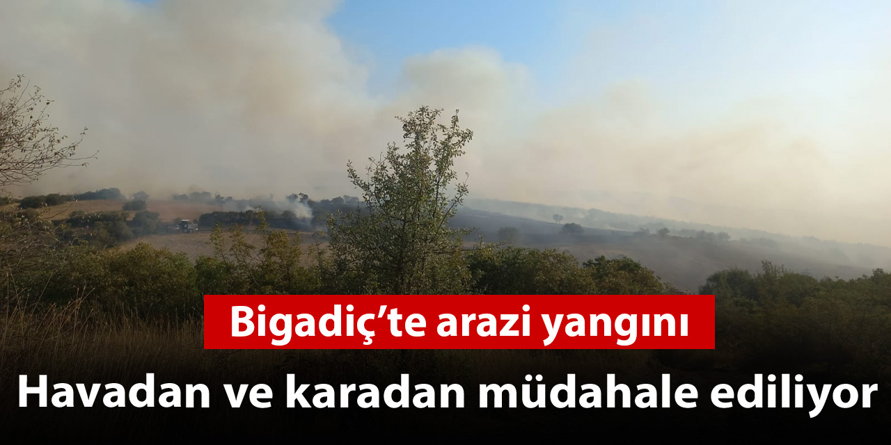 Bigadiç'te çıkan yangına havadan ve karadan müdahale ediliyor