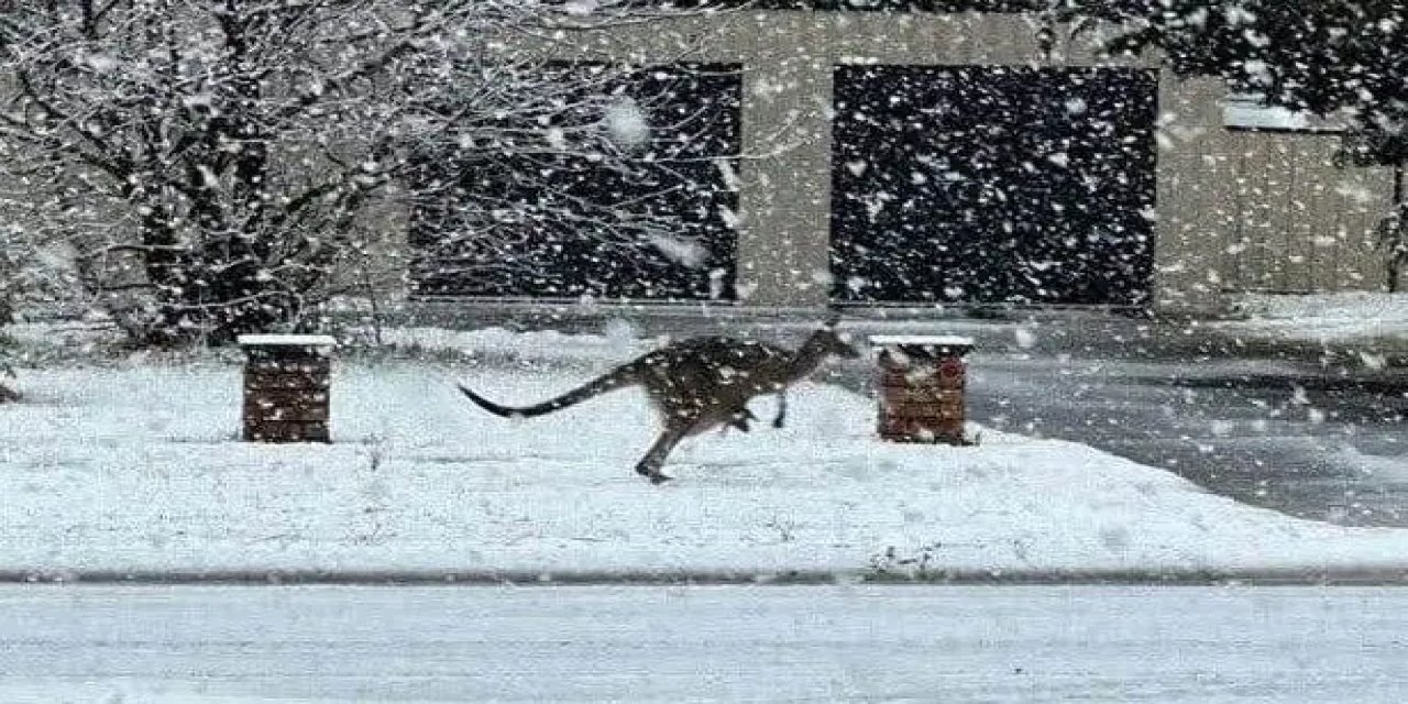 Ağustos ayında görülmemiş kar yağışı: 45 yıl sonra bir ilk