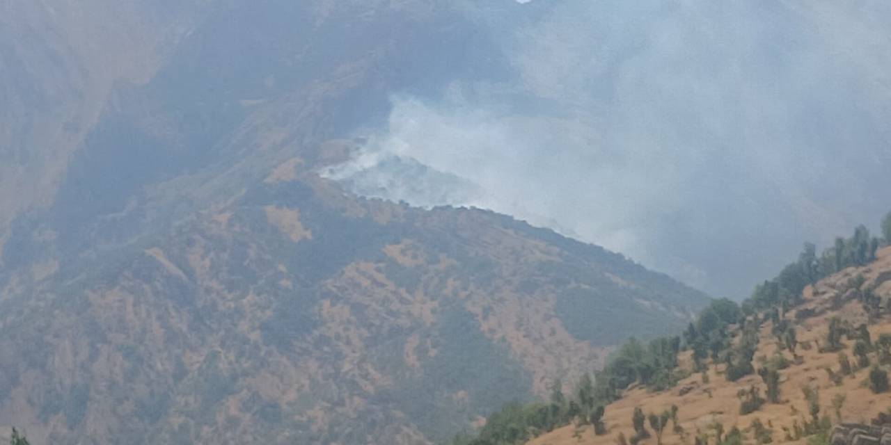 Şırnak'ta orman yangını: Ekipler müdahale ediyor