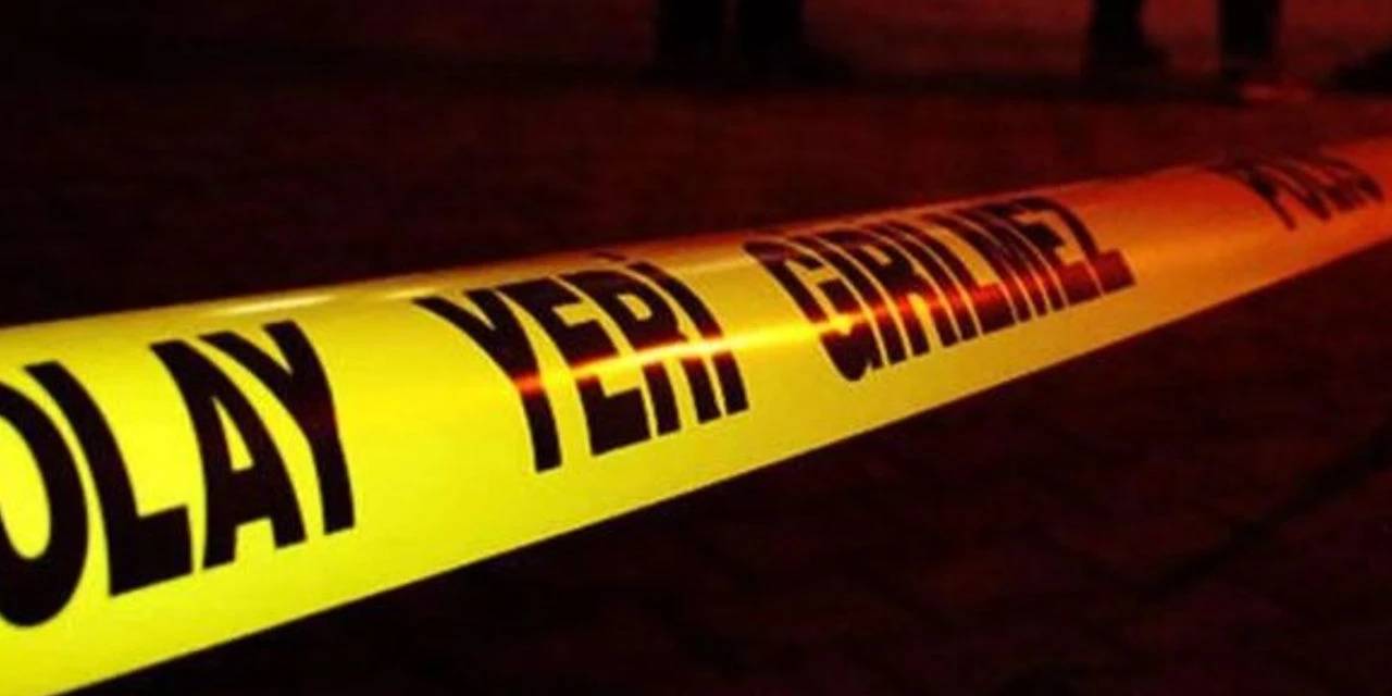 Yola çıkan domuz can aldı: Motosiklet sürücüsü yaşamını yitirdi