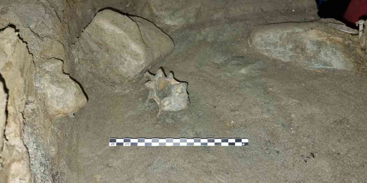 Bilim insanları keşfetti: 75 bin yıllık kemik kalıntıları bulundu