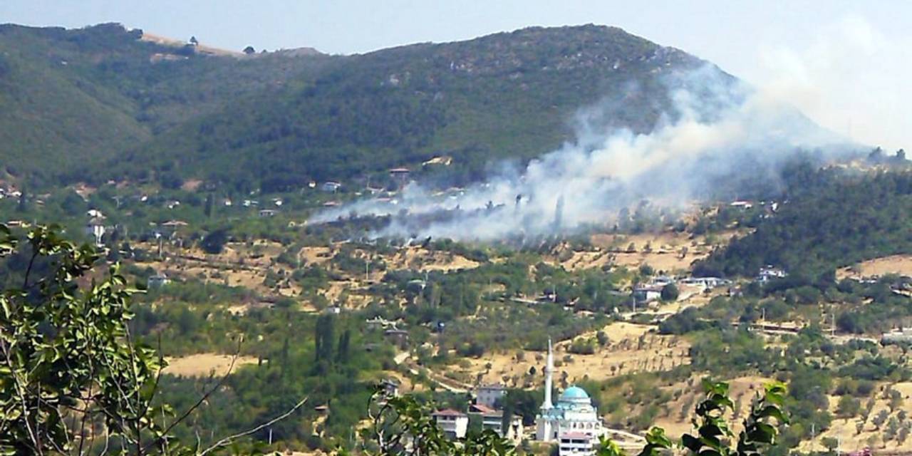 Geyve'de korkulan olmadı! Ormana sıçramadan söndürüldü