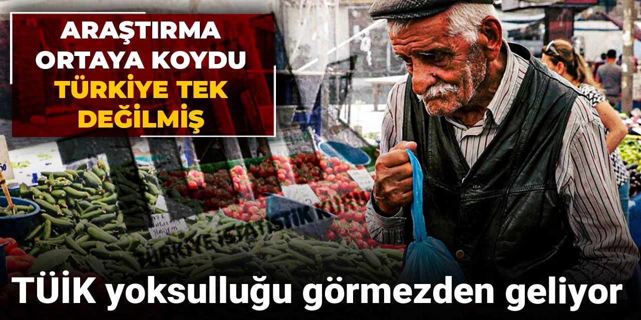 TÜİK yoksulluğu görmezden geliyor: Araştırma ortaya koydu Türkiye tek değilmiş