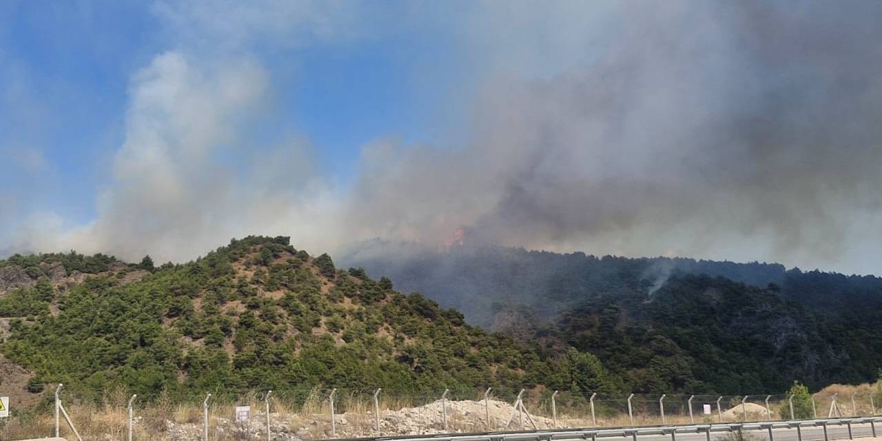 Kızılçam ormanlarında yangın