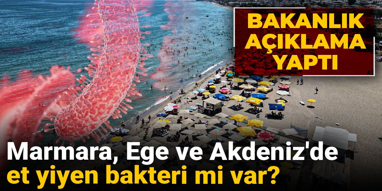 Marmara, Ege ve Akdeniz'de et yiyen bakteri mi var? Bakanlık açıklama yaptı