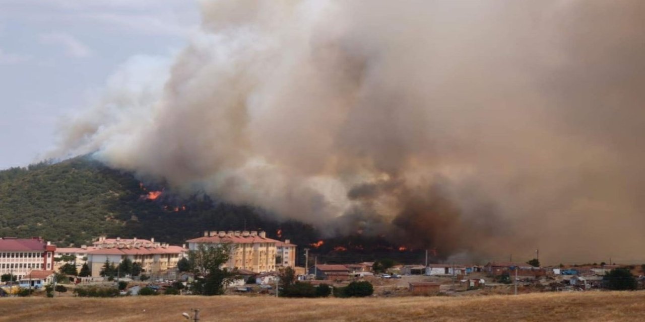 Edirne'de yangın! Gökyüzünü dumanlar kapladı