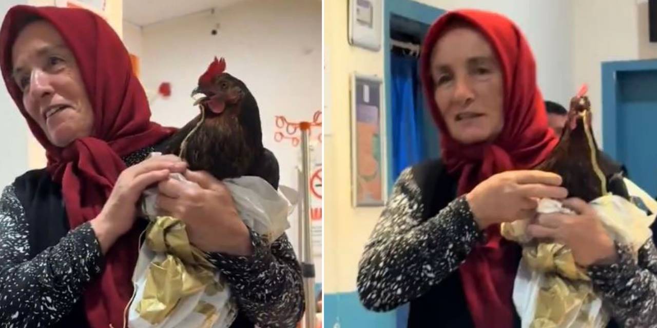 Tavuğunu hastaneye götürdü, isteği hayrete düşürdü!