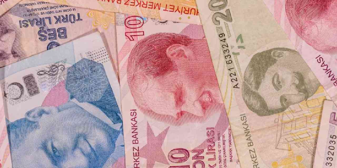 Denizde yakalayıp getirene artık 35 TL verilecek