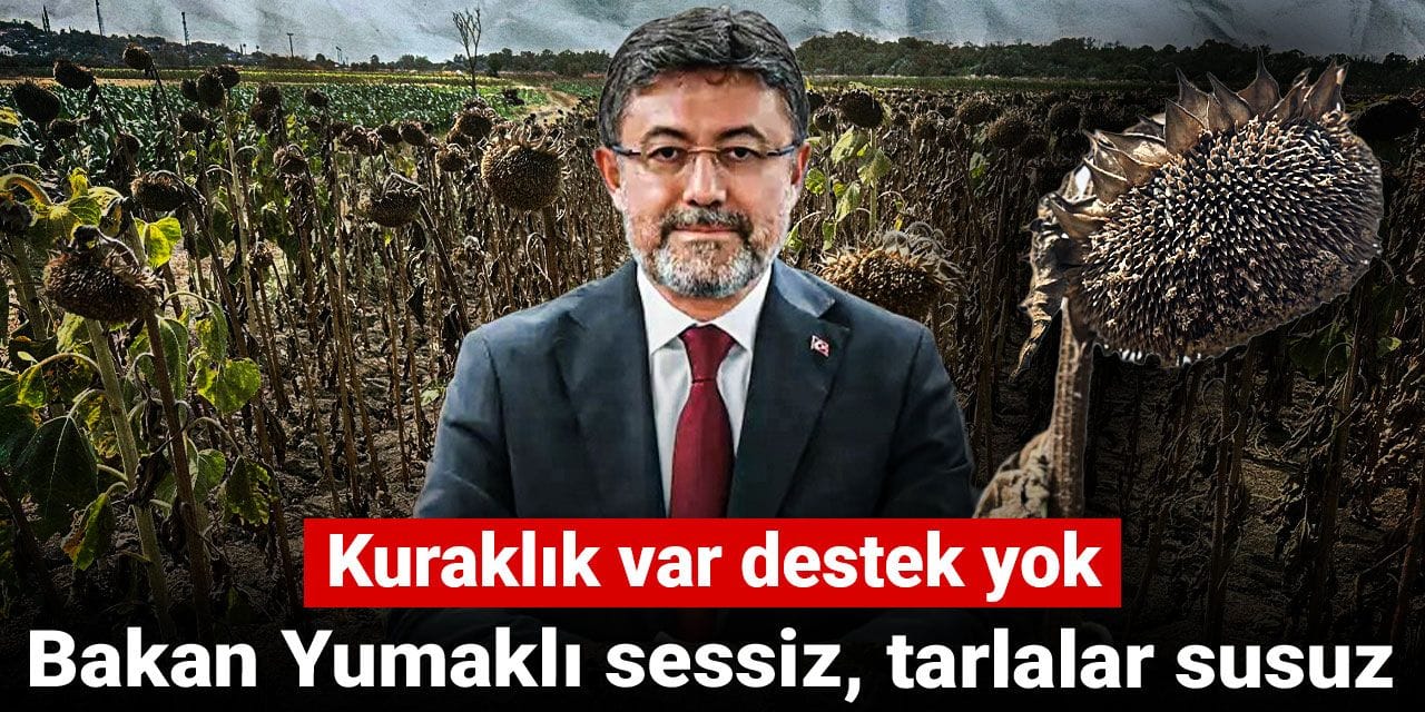 Bakan Yumaklı sessiz, tarlalar susuz! Kuraklık var destek yok