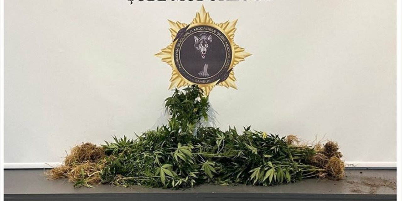 Zehir tacirlerine operasyon! 10 kişi gözaltına alındı