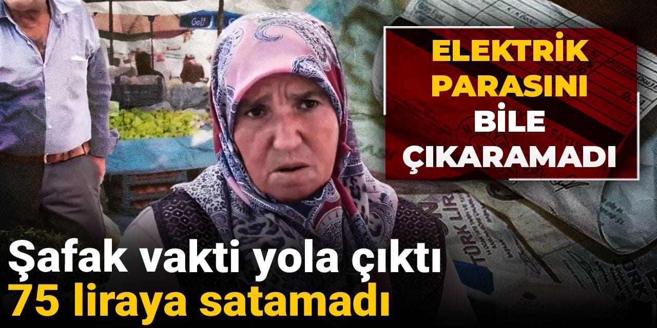 Şafak vakti yola çıktı 75 liraya satamadı: Elektrik parasını bile çıkaramadı