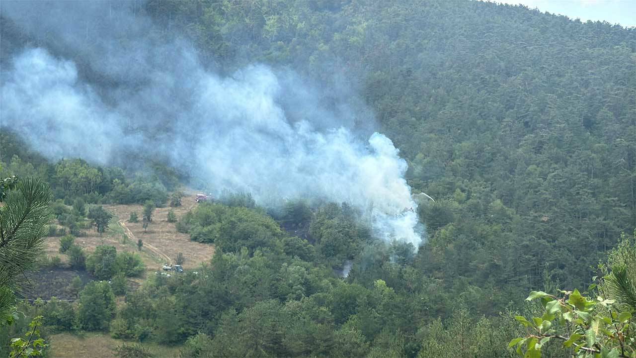 Bolu'da orman yangını! Havadan ve karadan müdahale ediliyor