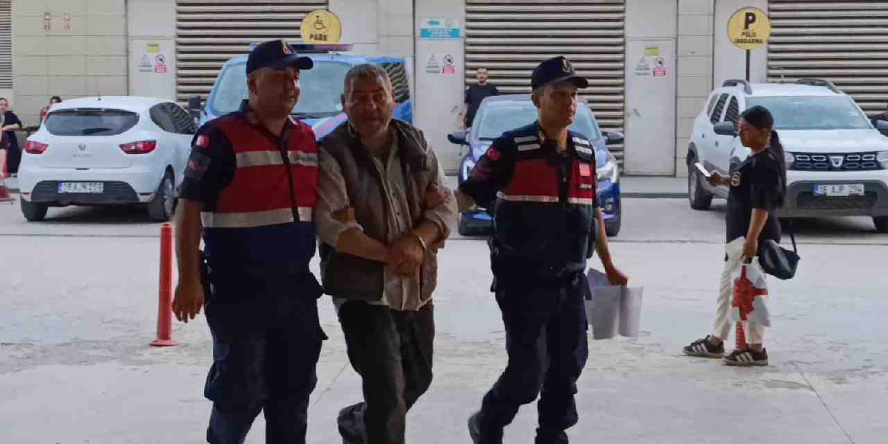 Evde kenevir bahçesi kurdular! 2 şüpheli tutuklandı